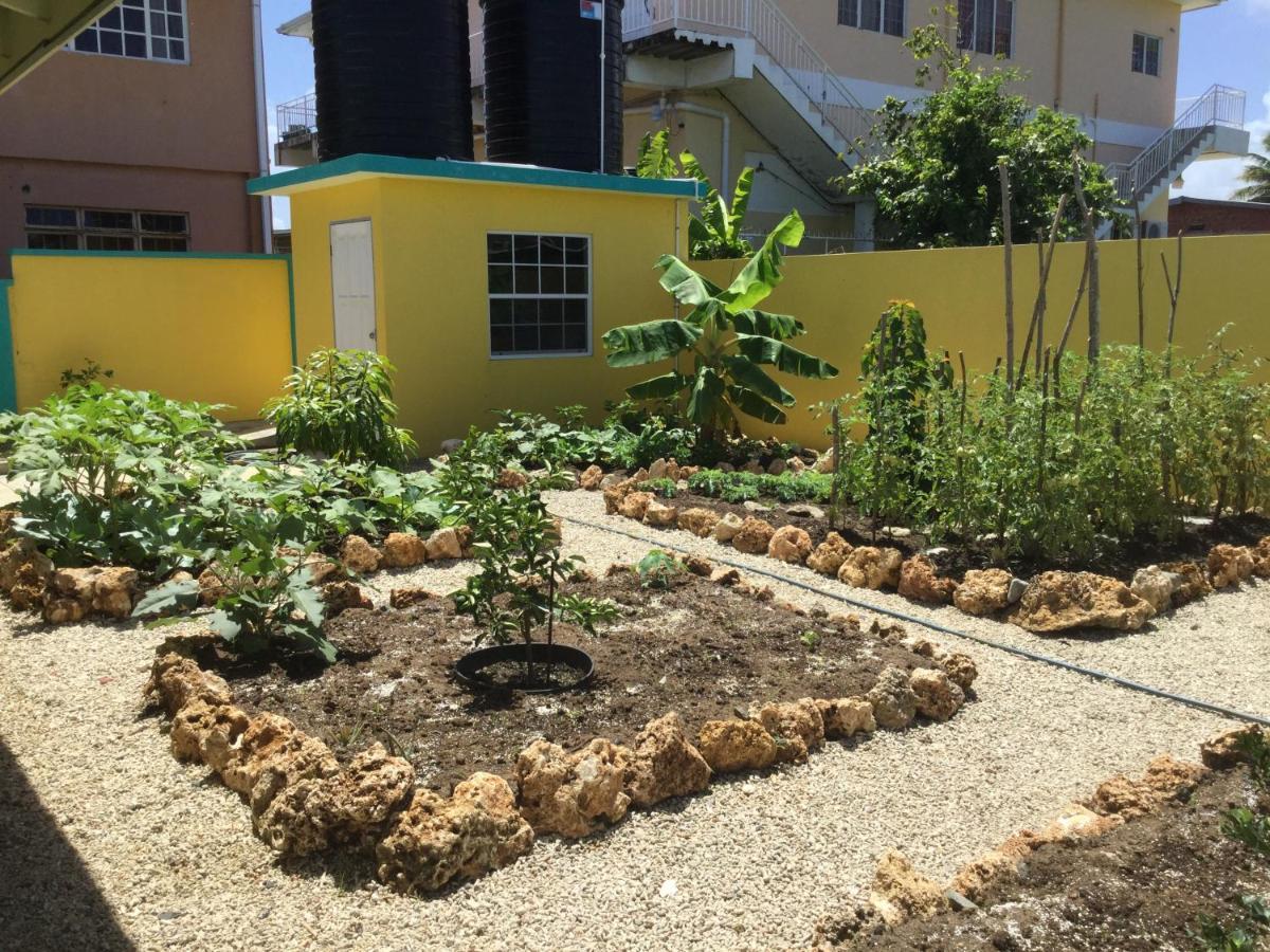 Cc Best Villas Tobago Lowlands Eksteriør billede